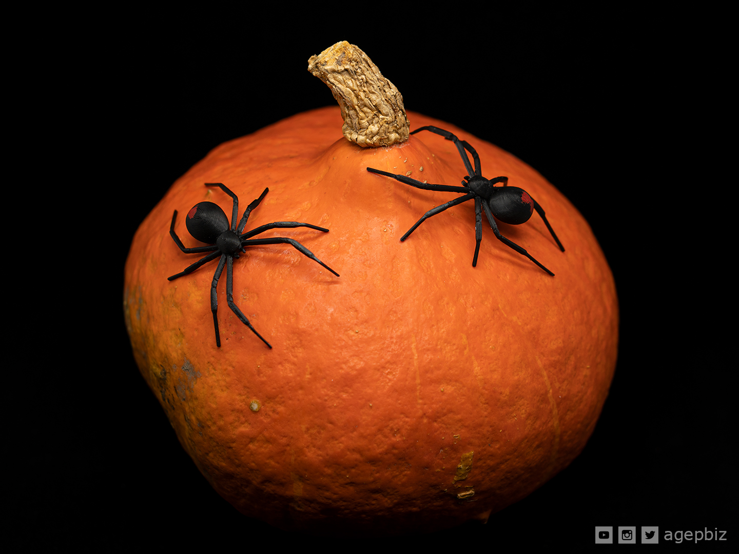 Miniatura 2 do modelo 3D Black Widow Spider