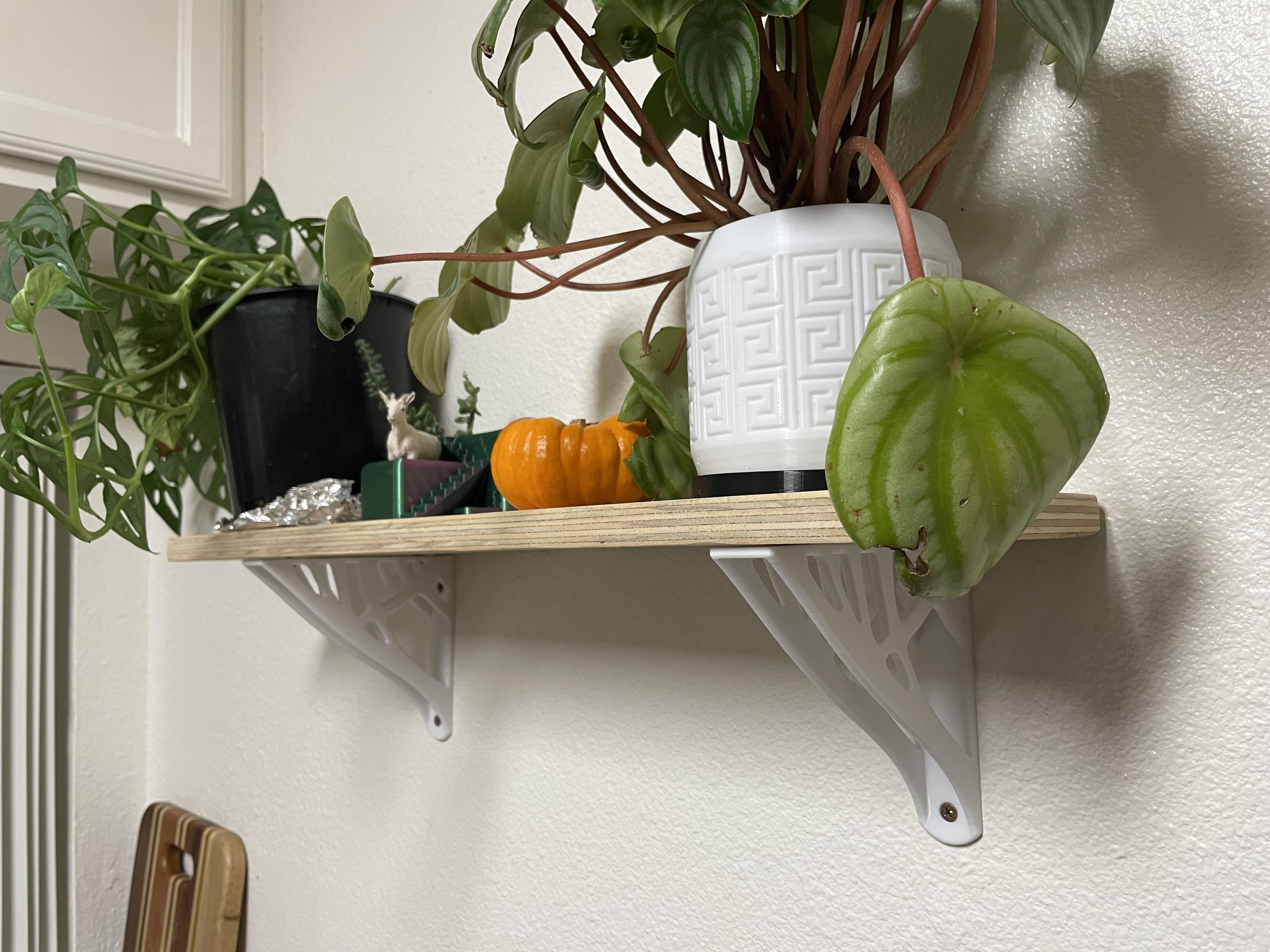 Shelf Bracket (topology optimized) - Split shelf — miniatura 3