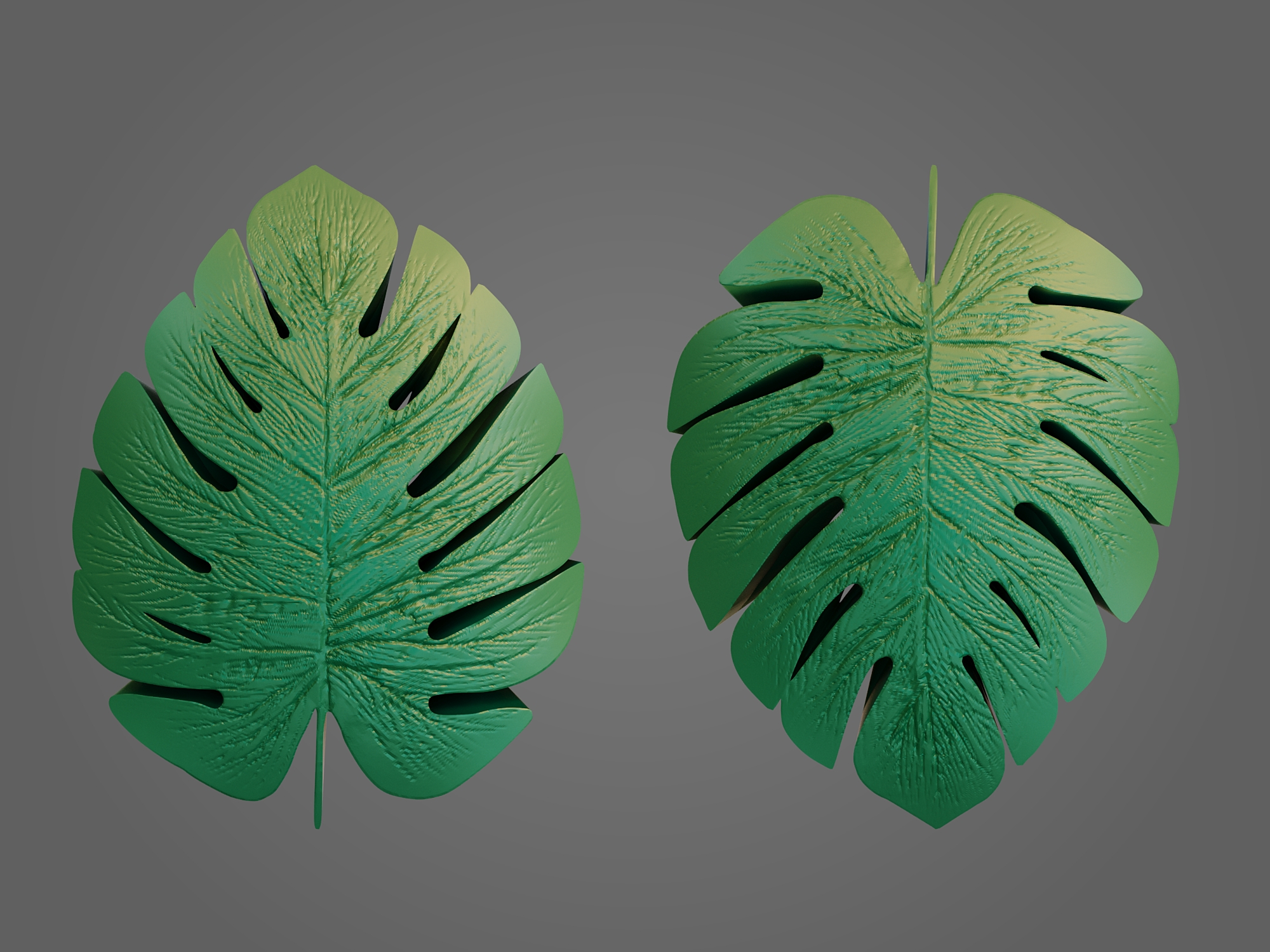 Miniatura 5 do modelo 3D Plate - monstera leaf