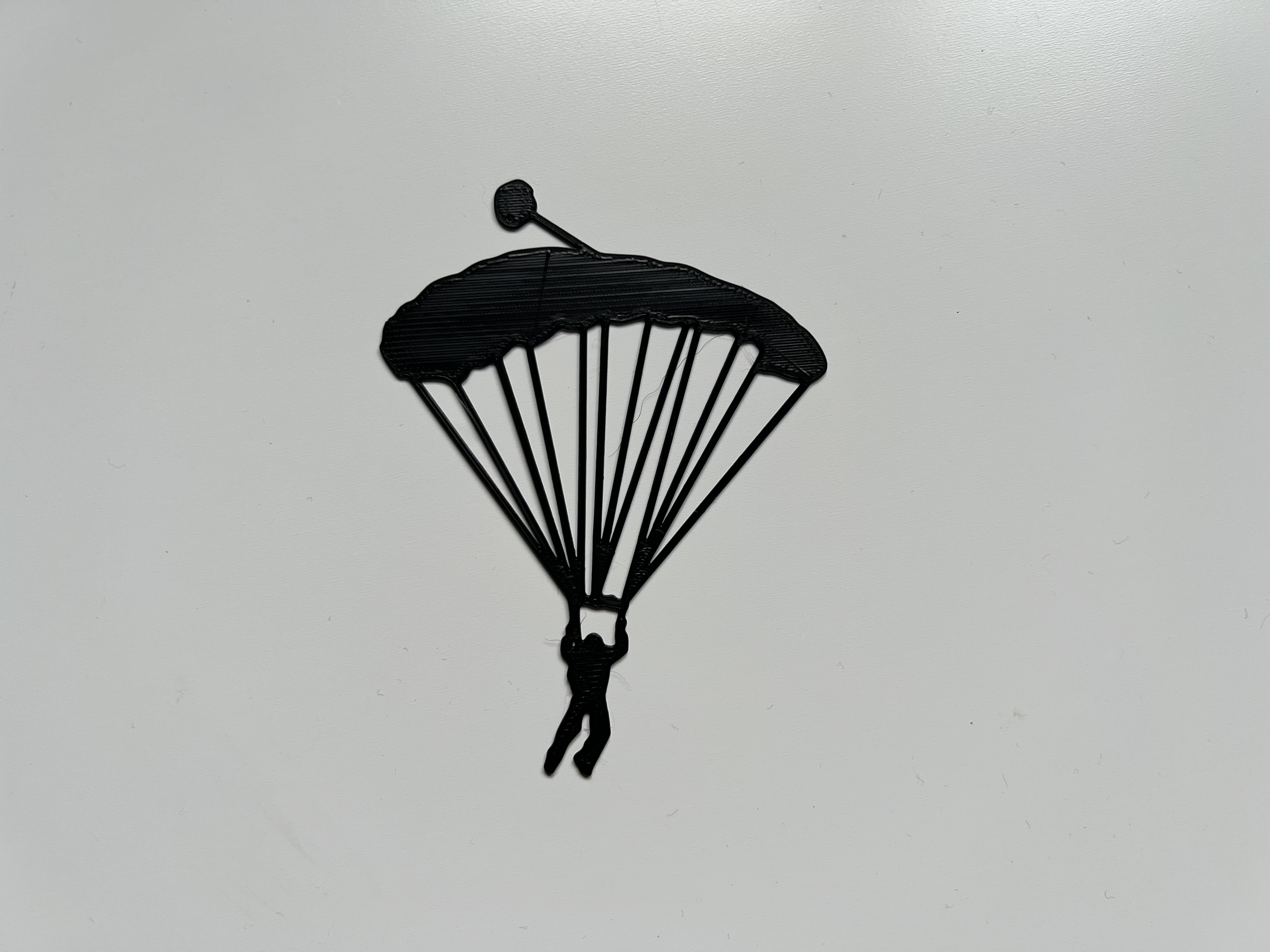 Skydiver Wall Art #1