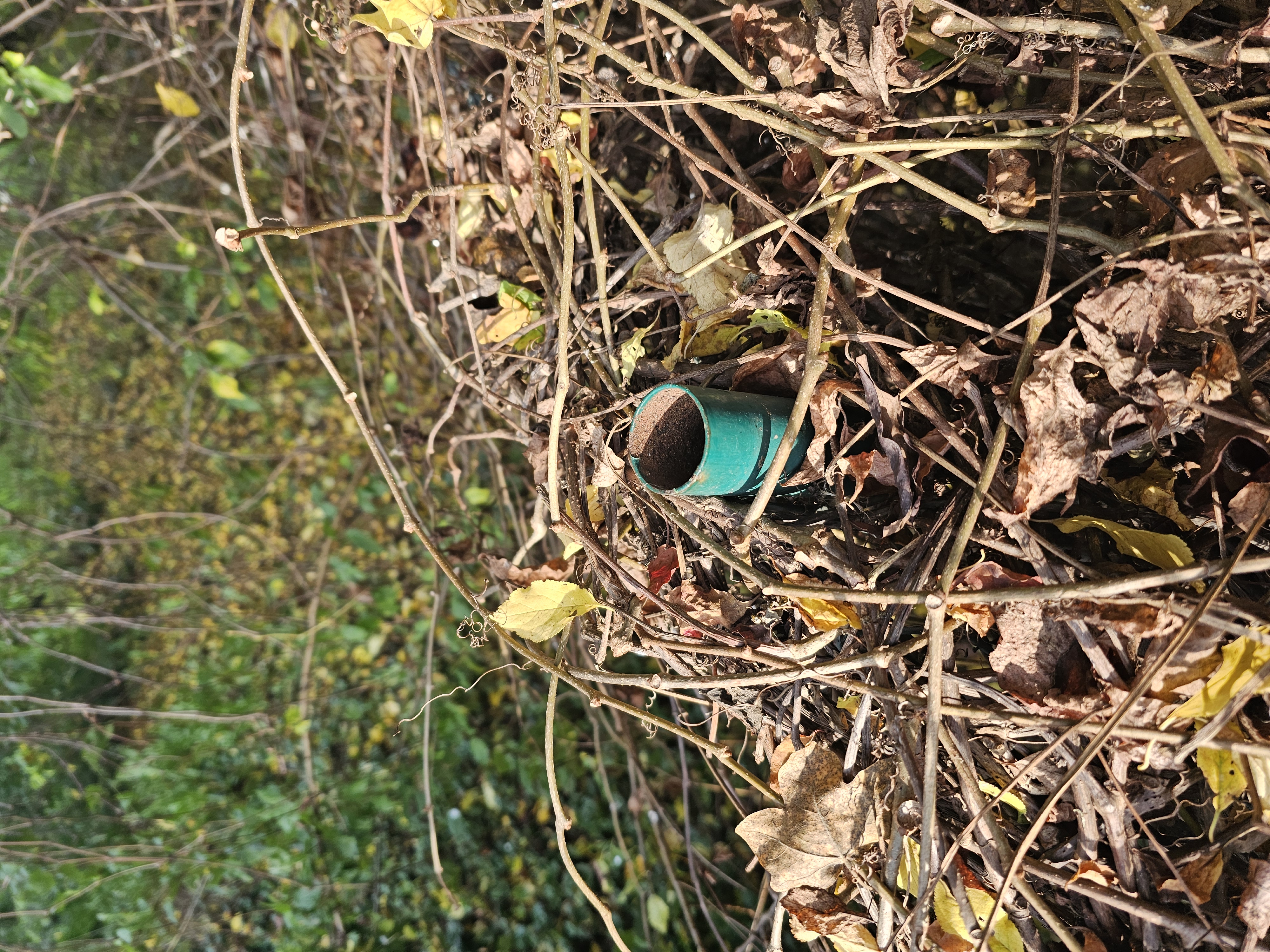 Gartenzaunkappe mit Insekten-Unterschlupf (Garden fence cap with insect shelter) — miniatura 4