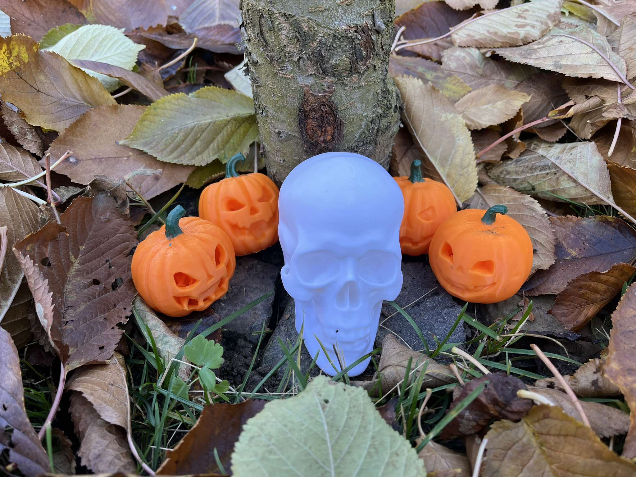 Halloween dýně — miniatura 8
