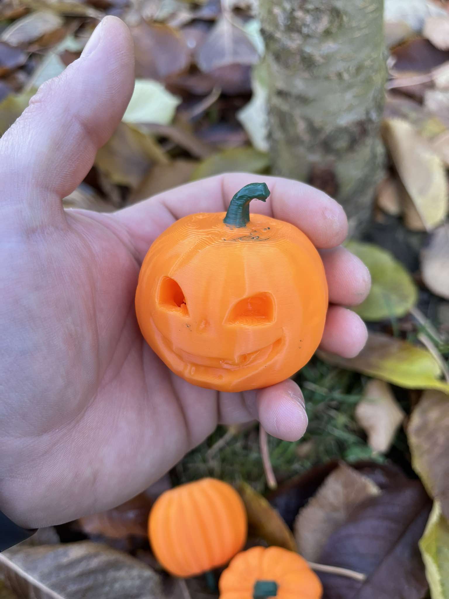 Halloween dýně — miniatura 7