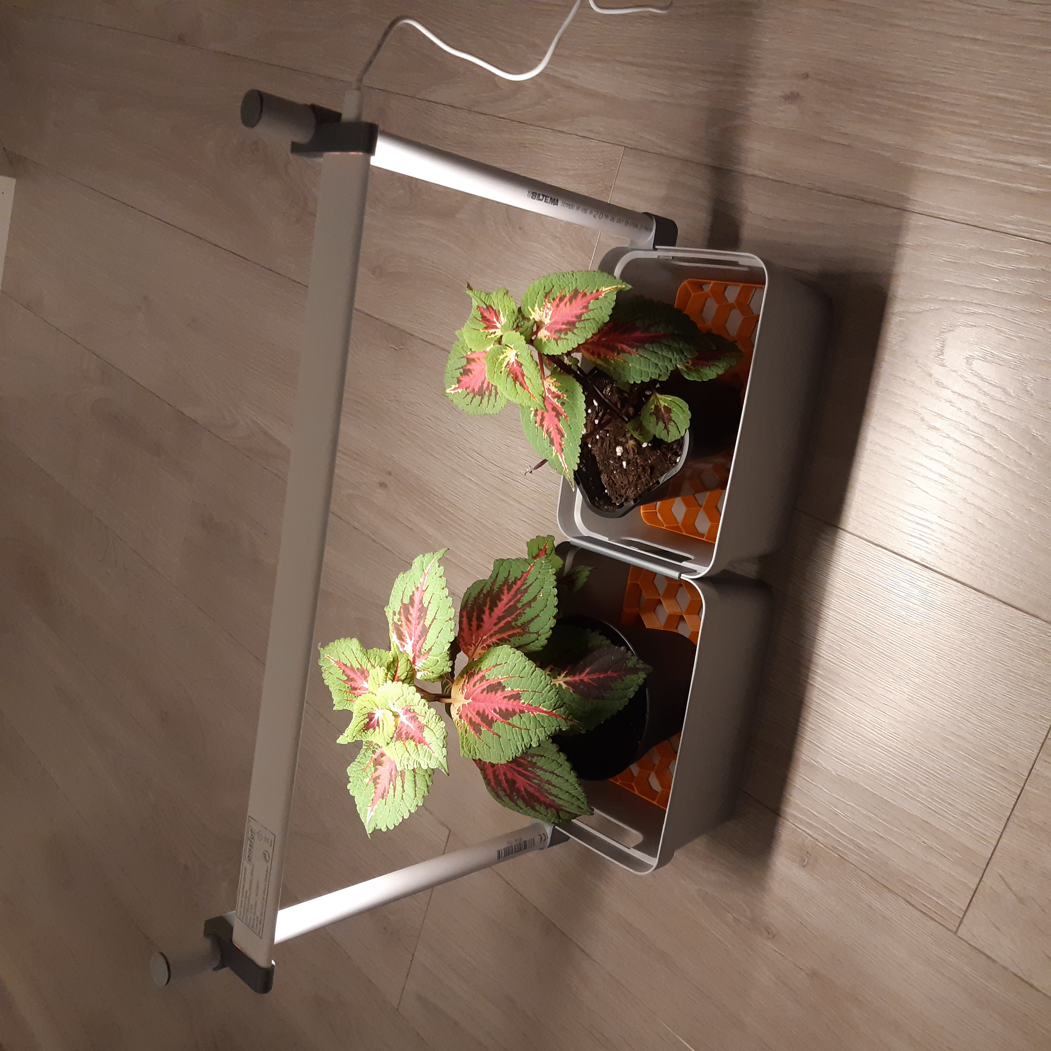DIY Smart Plant Container