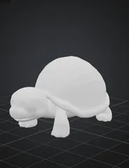 Cute Turtles