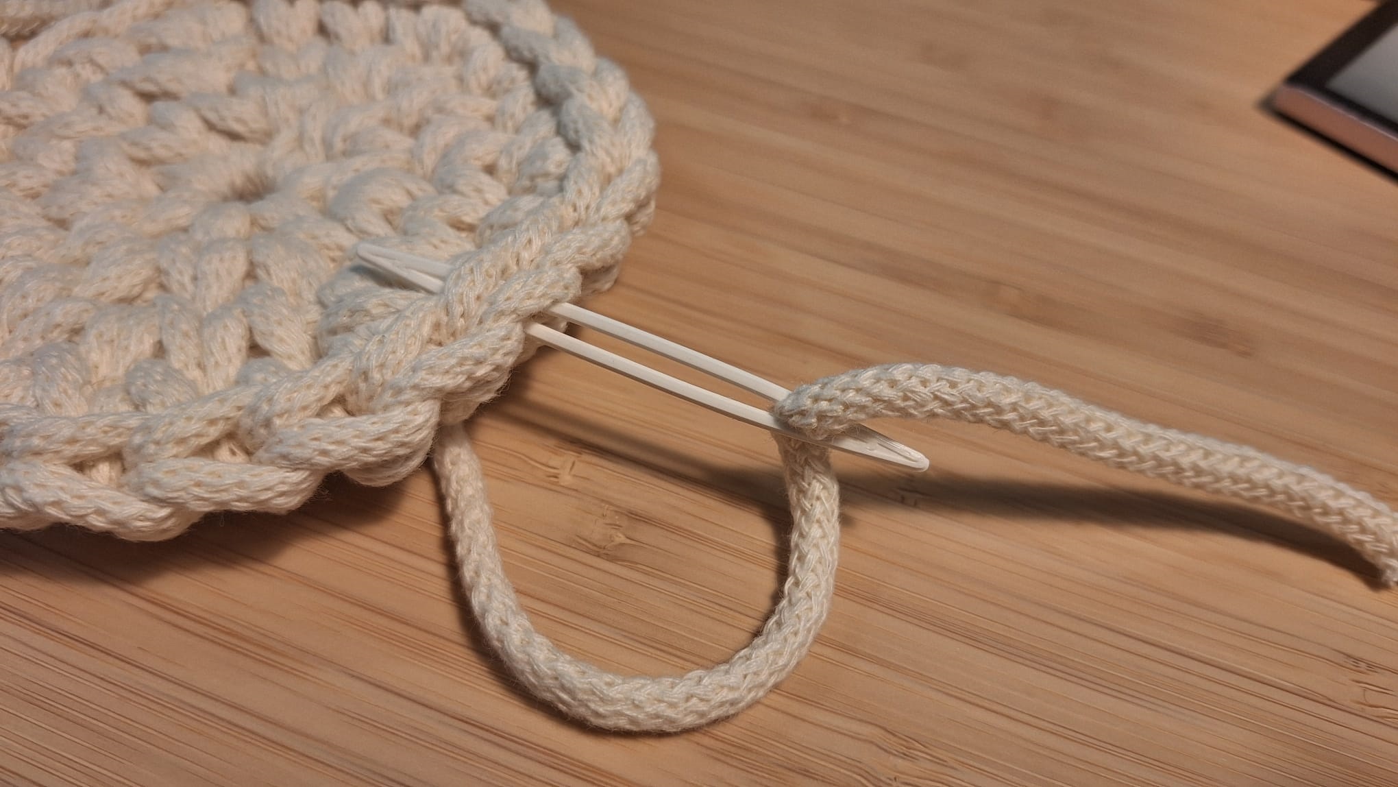 Darning Needle