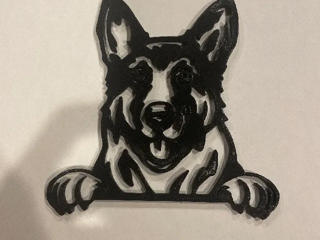 German shepherd