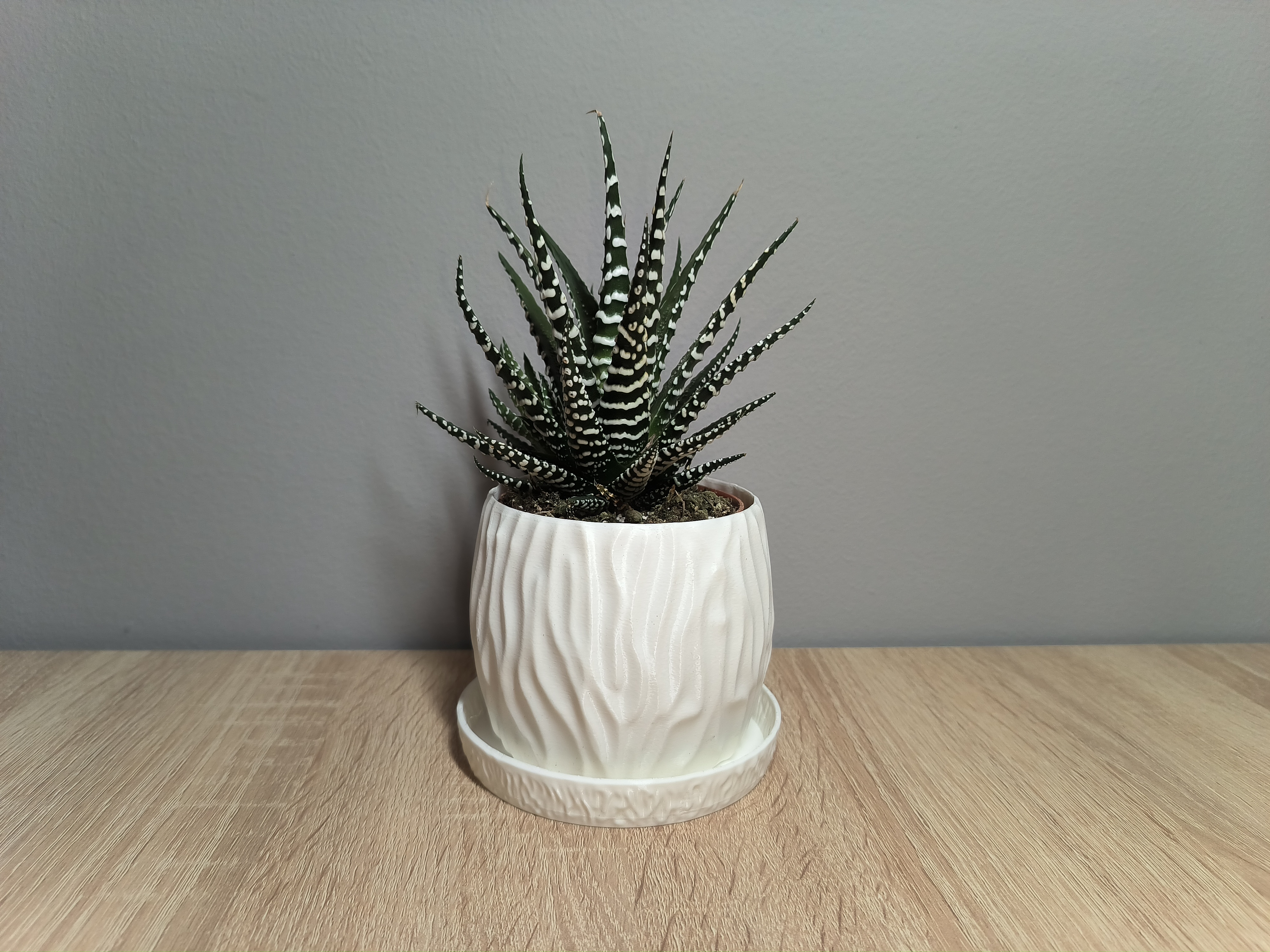 Modern Planter