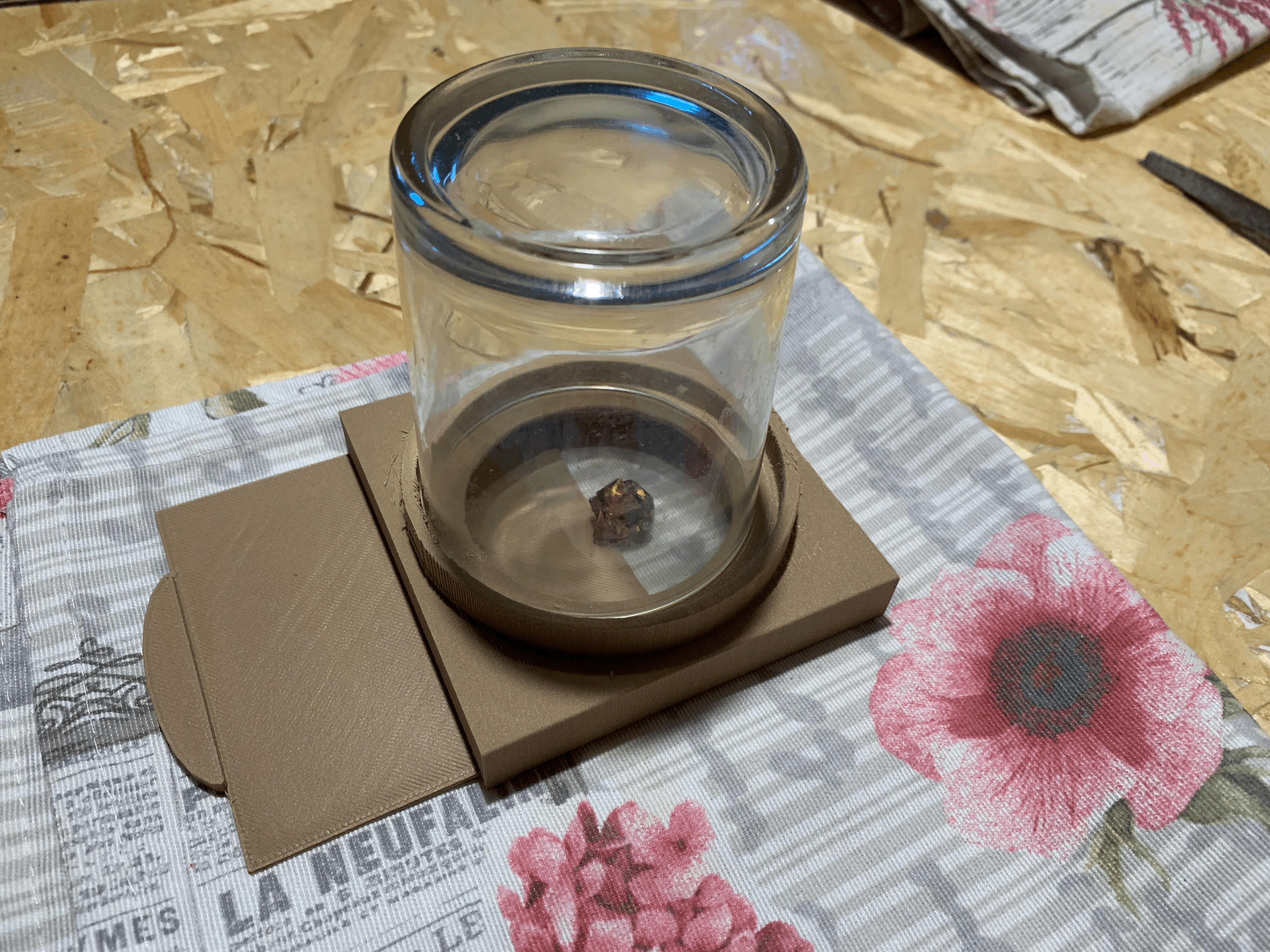 Insect GlassTrap