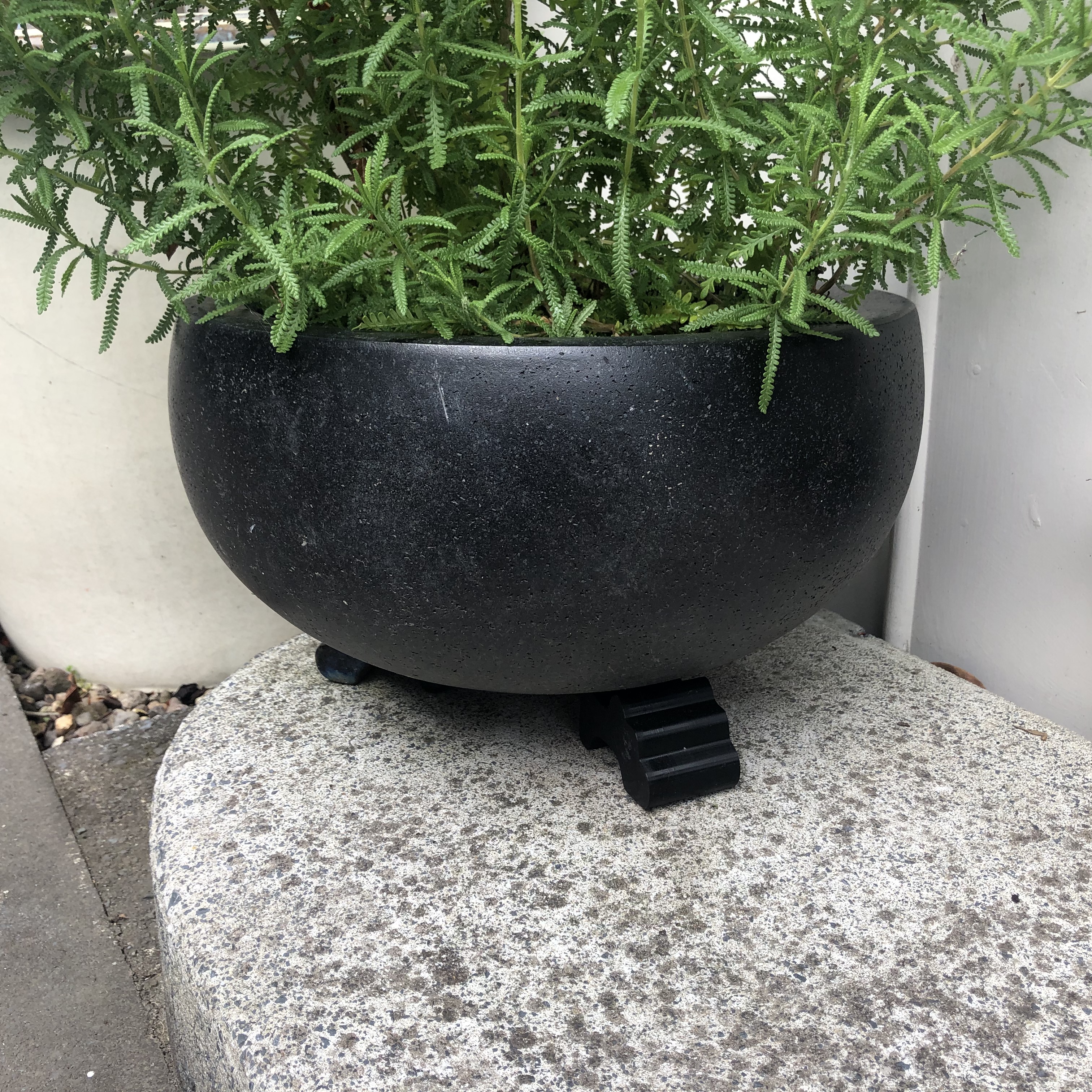 Pot Plant Feet