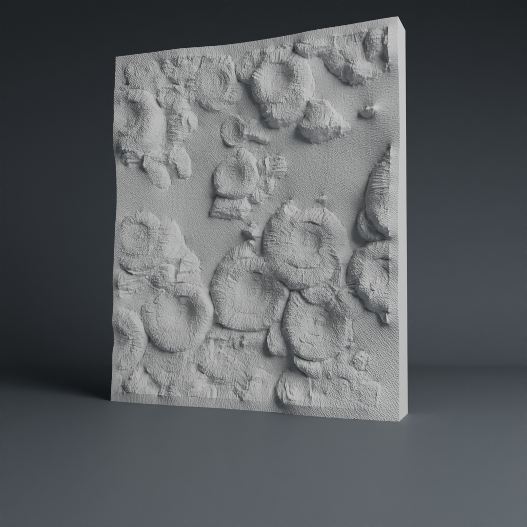Ammonit Fossil Wall Art