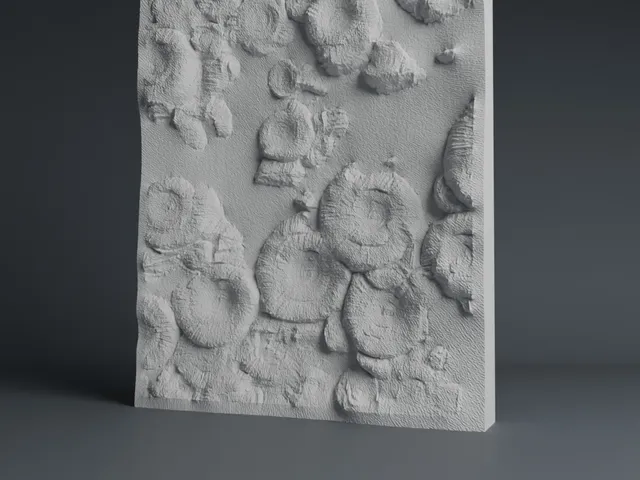 Ammonit Fossil Wall Art