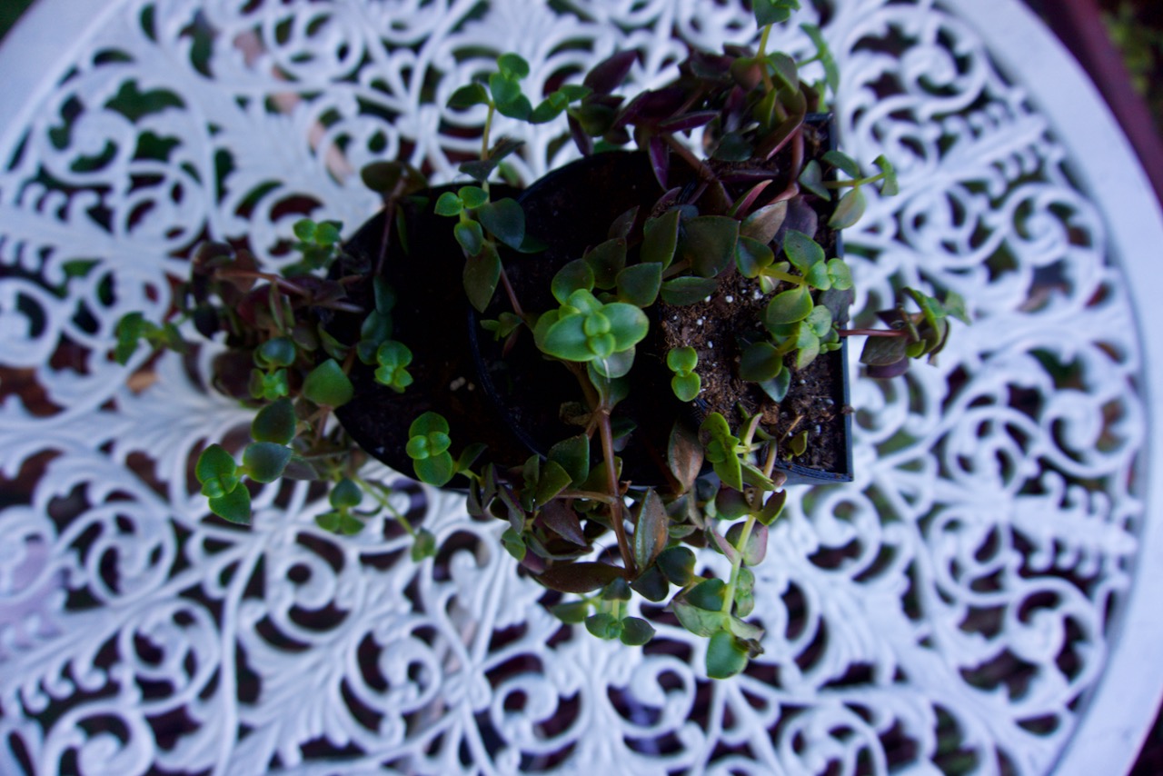 Three-tiered Halfmoon Planters — thumbnail 3