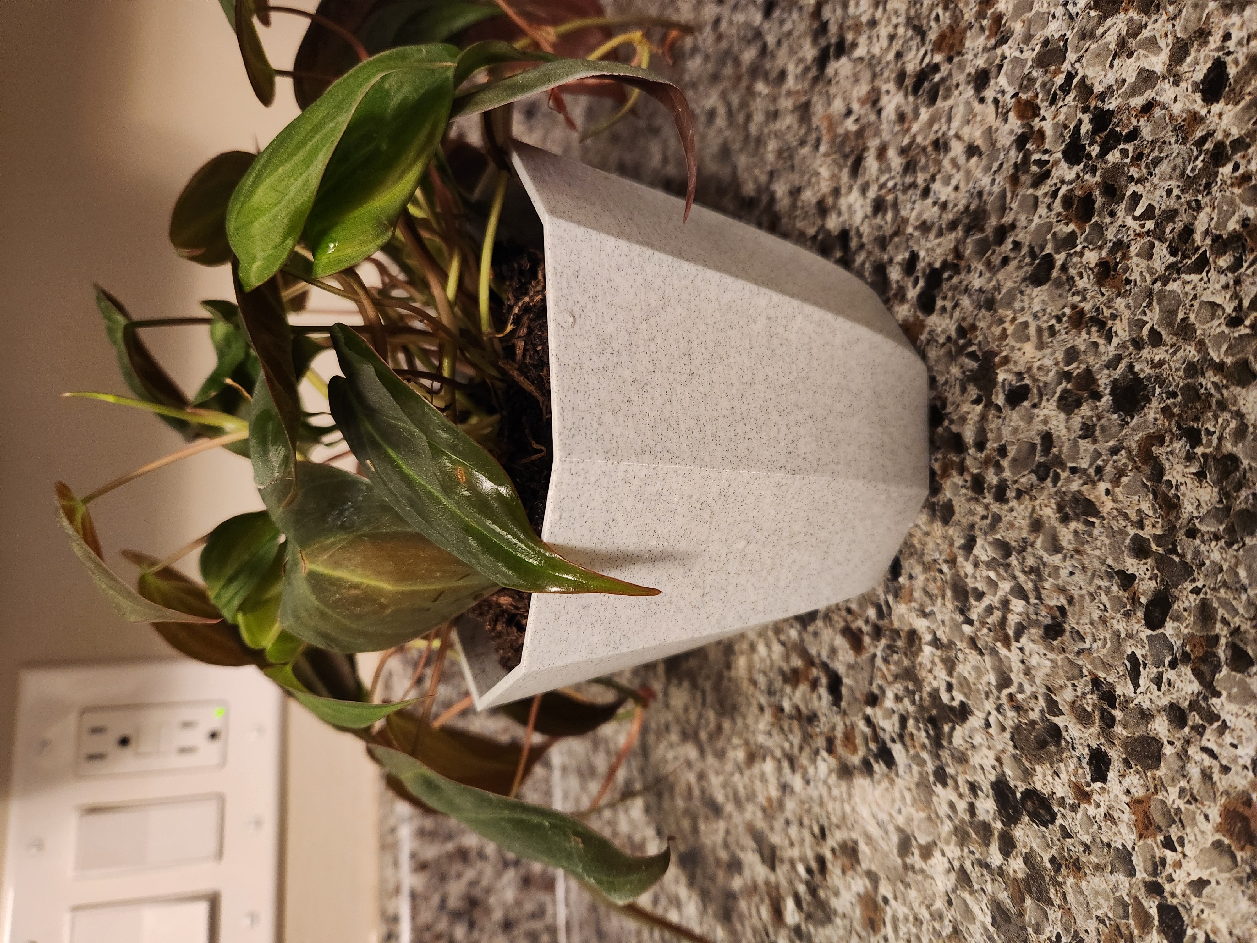 Nonagon Flower pot