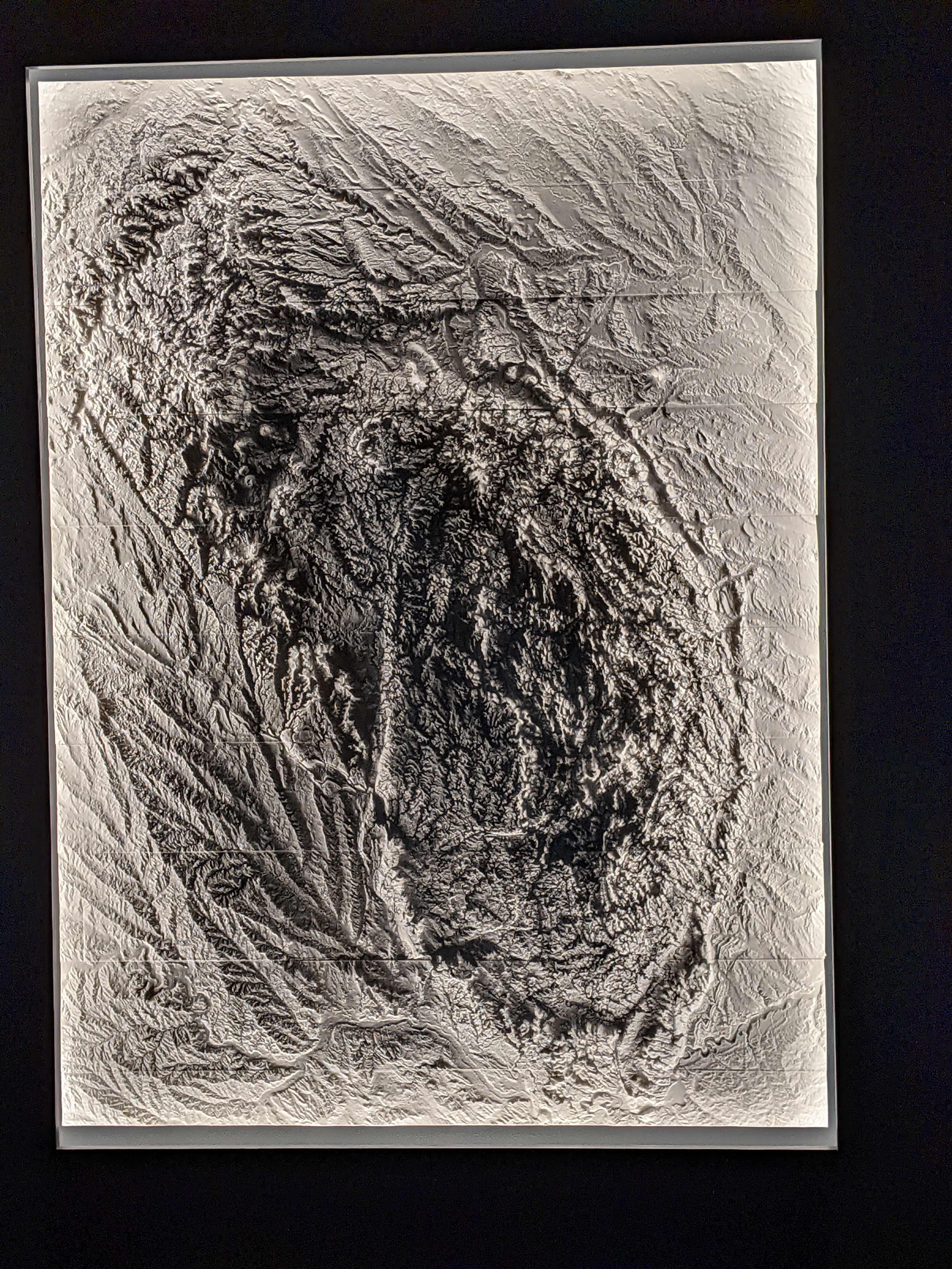 Topographic Map of the Black Hills
