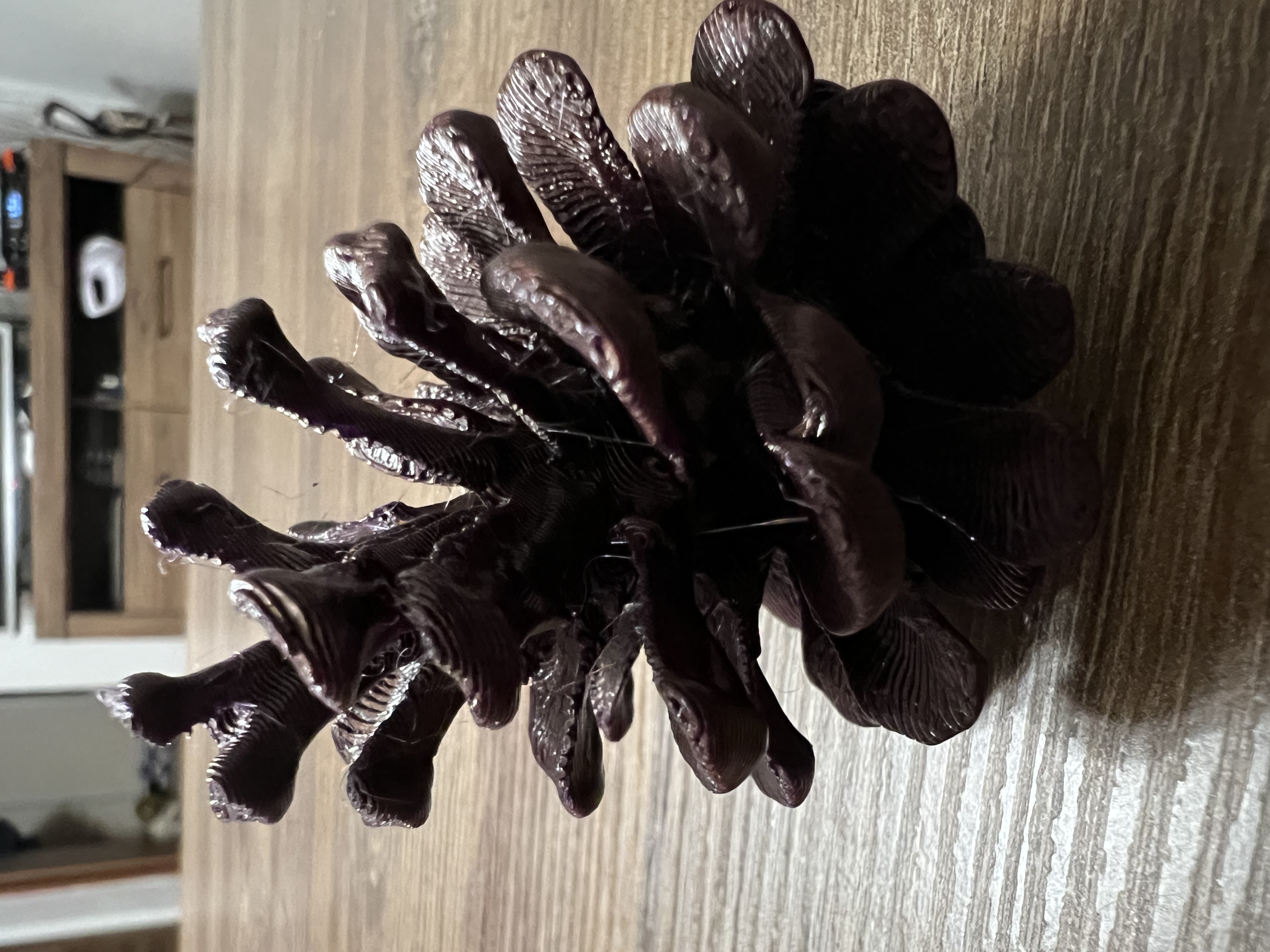 Vánoční Šiška; 3D scan   -   Christmas Cone; 3D scan — thumbnail 2