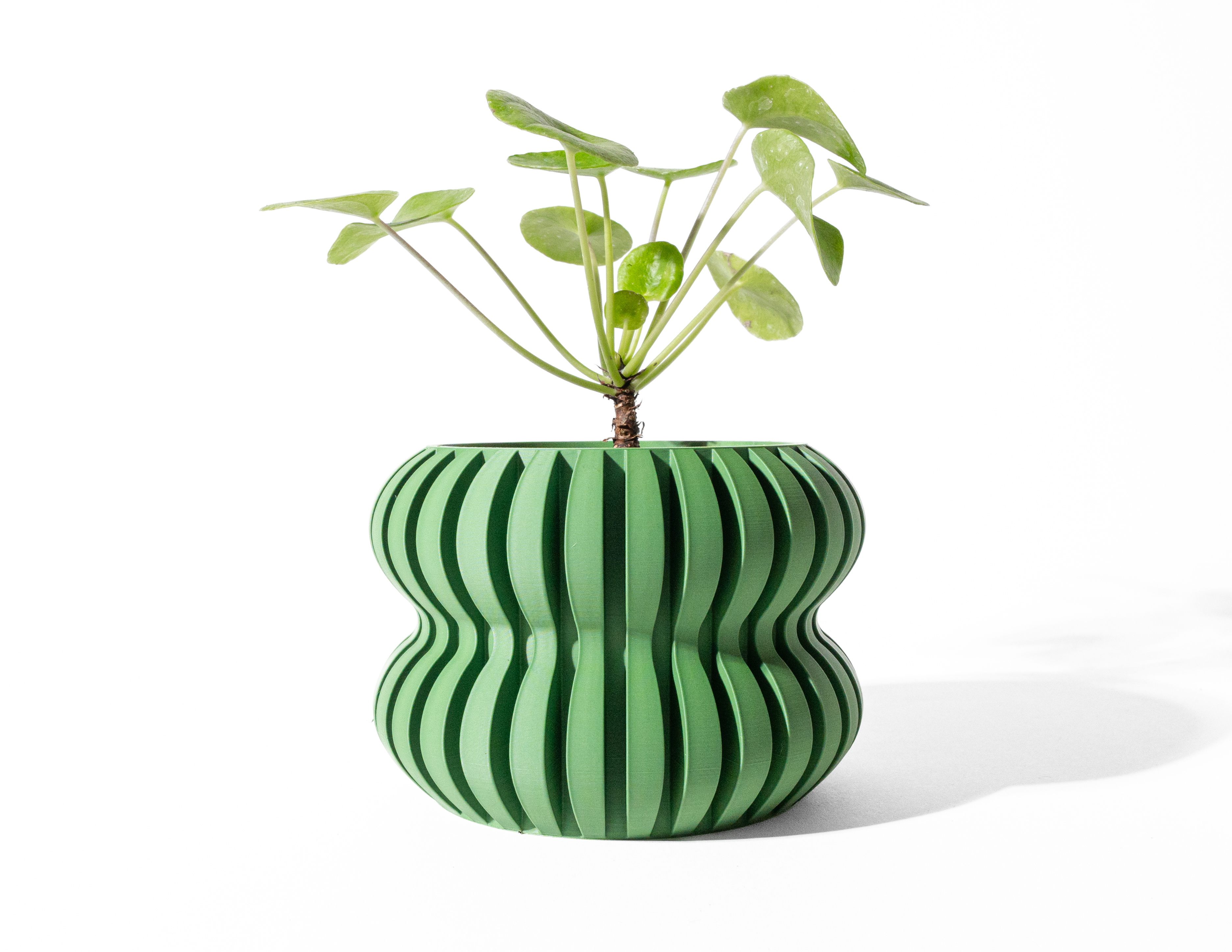 The Daso Planter Pot with Drainage Tray & Stand: Modern and Unique Home Decor for Plants and Succulents