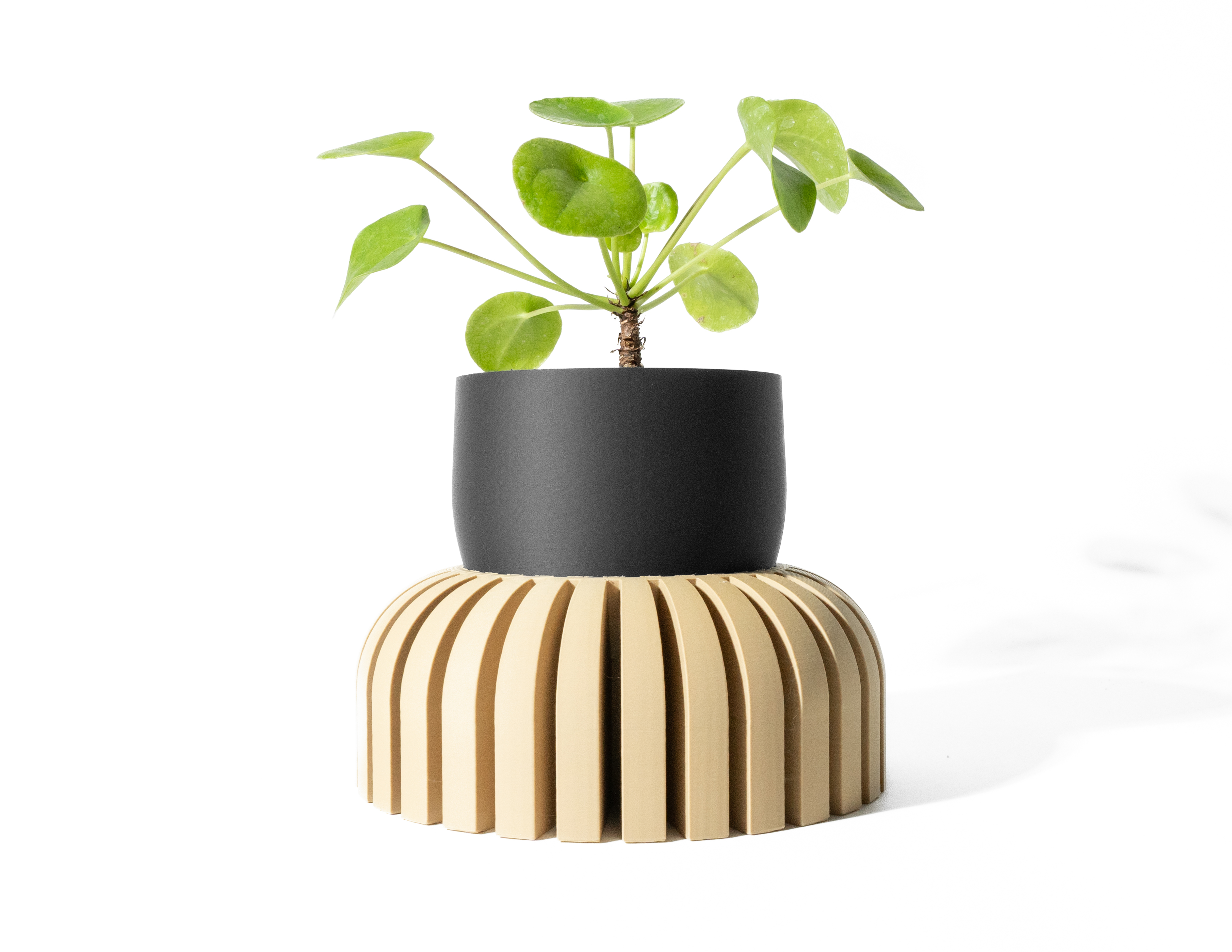 The Karis Planter Pot with Drainage Tray: Modern and Unique Home Decor for Plants and Succulents