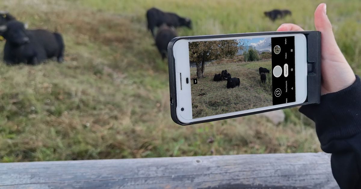 Camera-Power-Grip for old Pixel XL Phone by Carsten | Download free STL ...