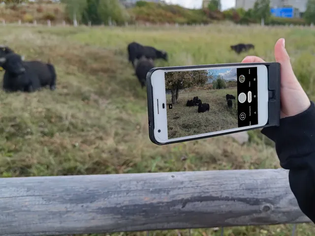 Camera-Power-Grip for old Pixel XL Phone