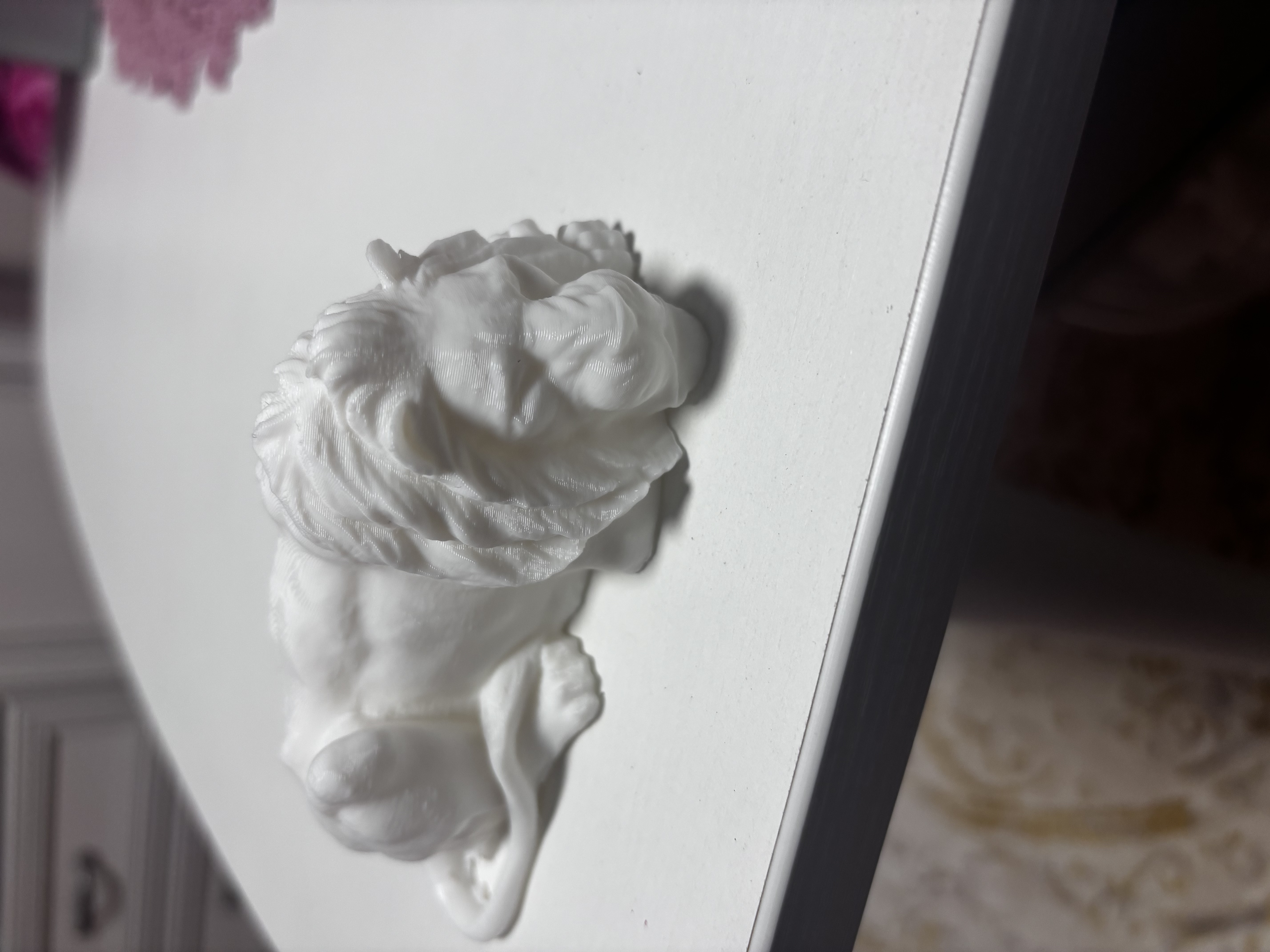 Sleeping Lion
