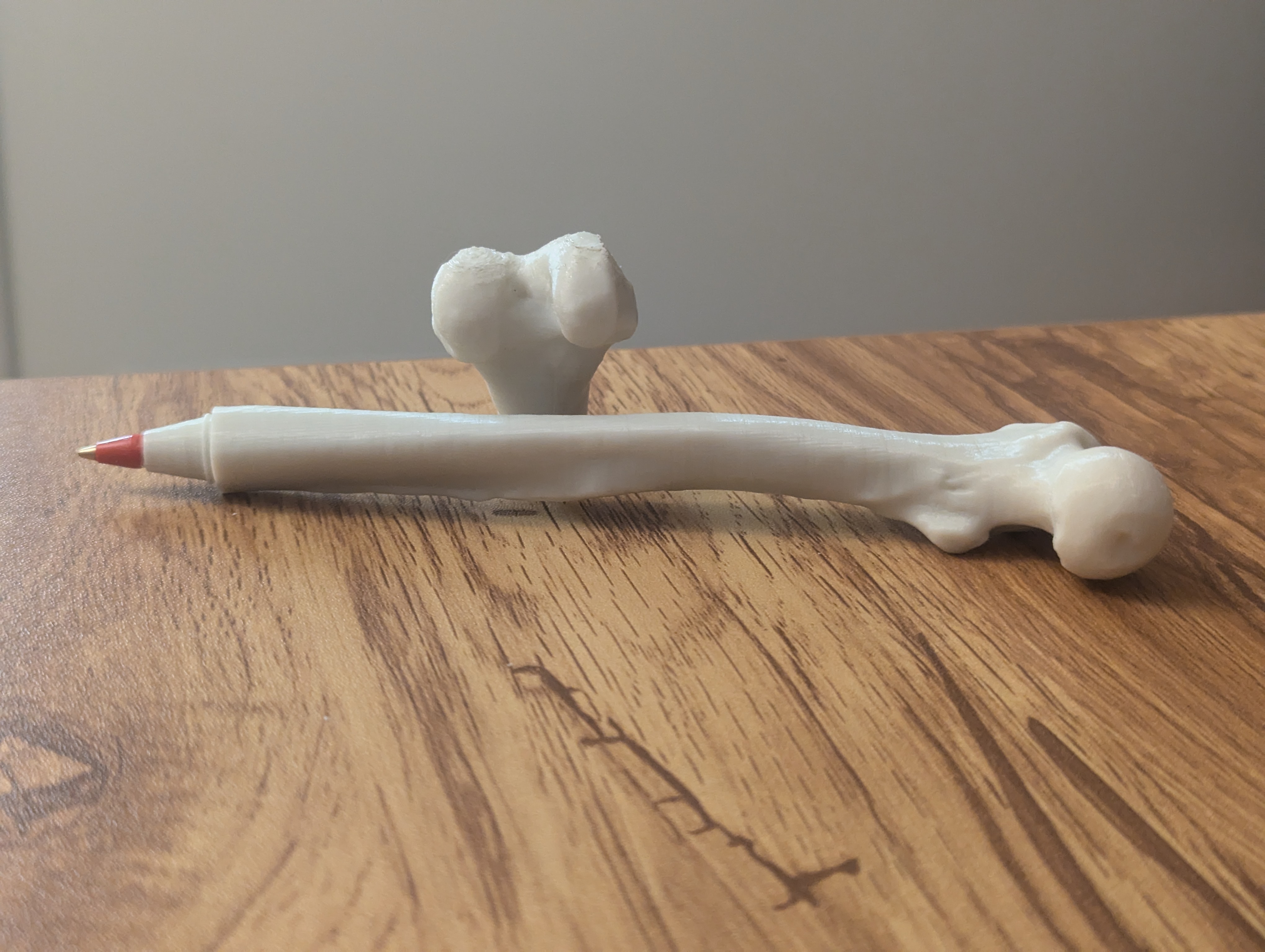 Hidden Femur Pen