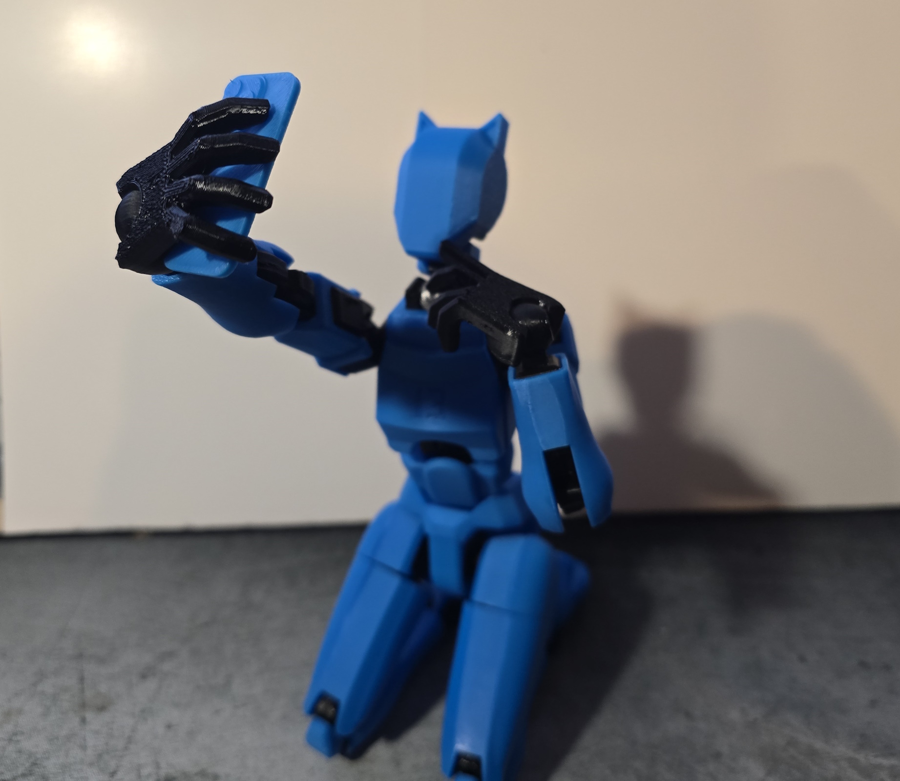 Dummy 13 Selfie Hand + Phone