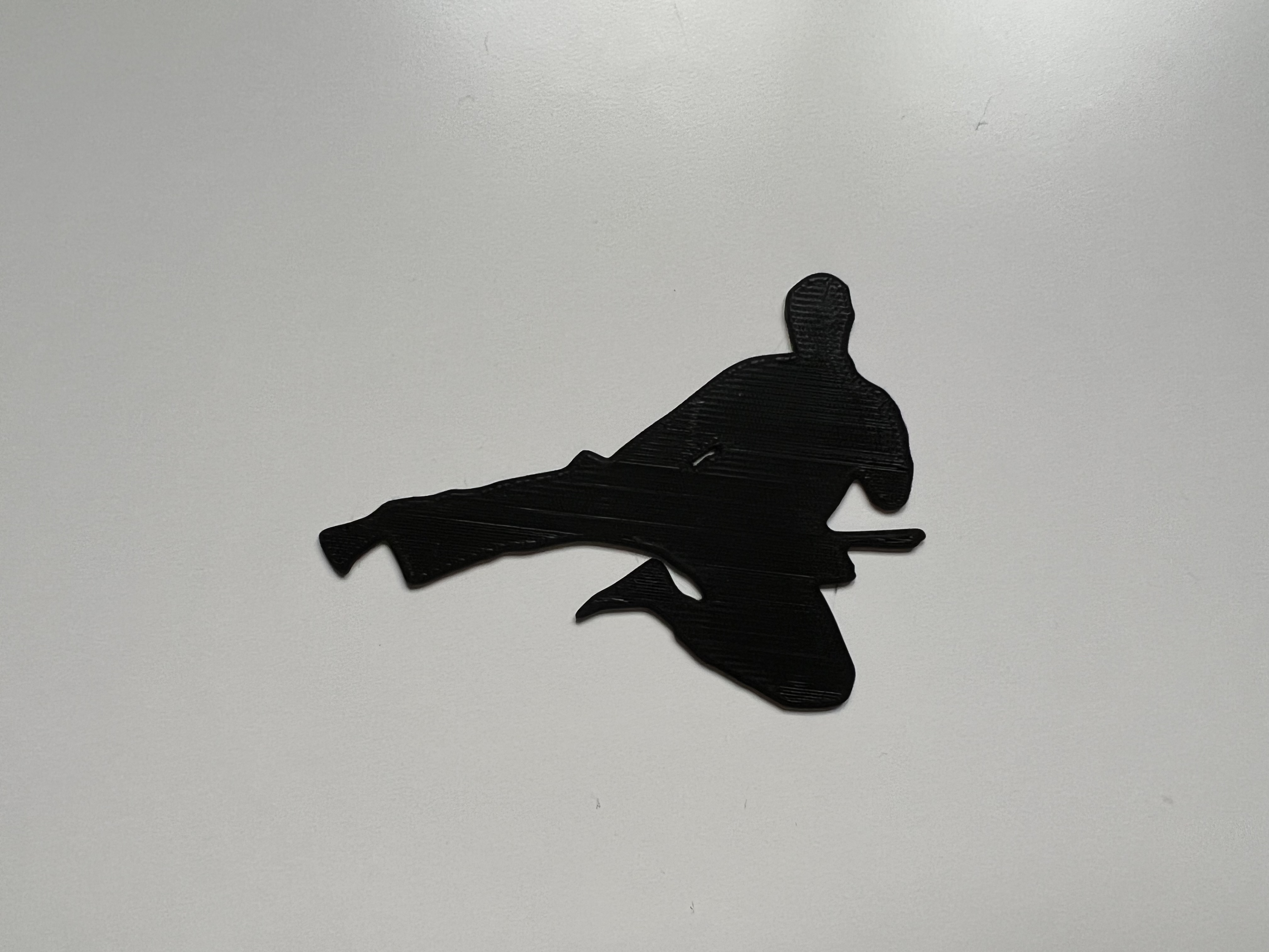 Karate Wall Art #1