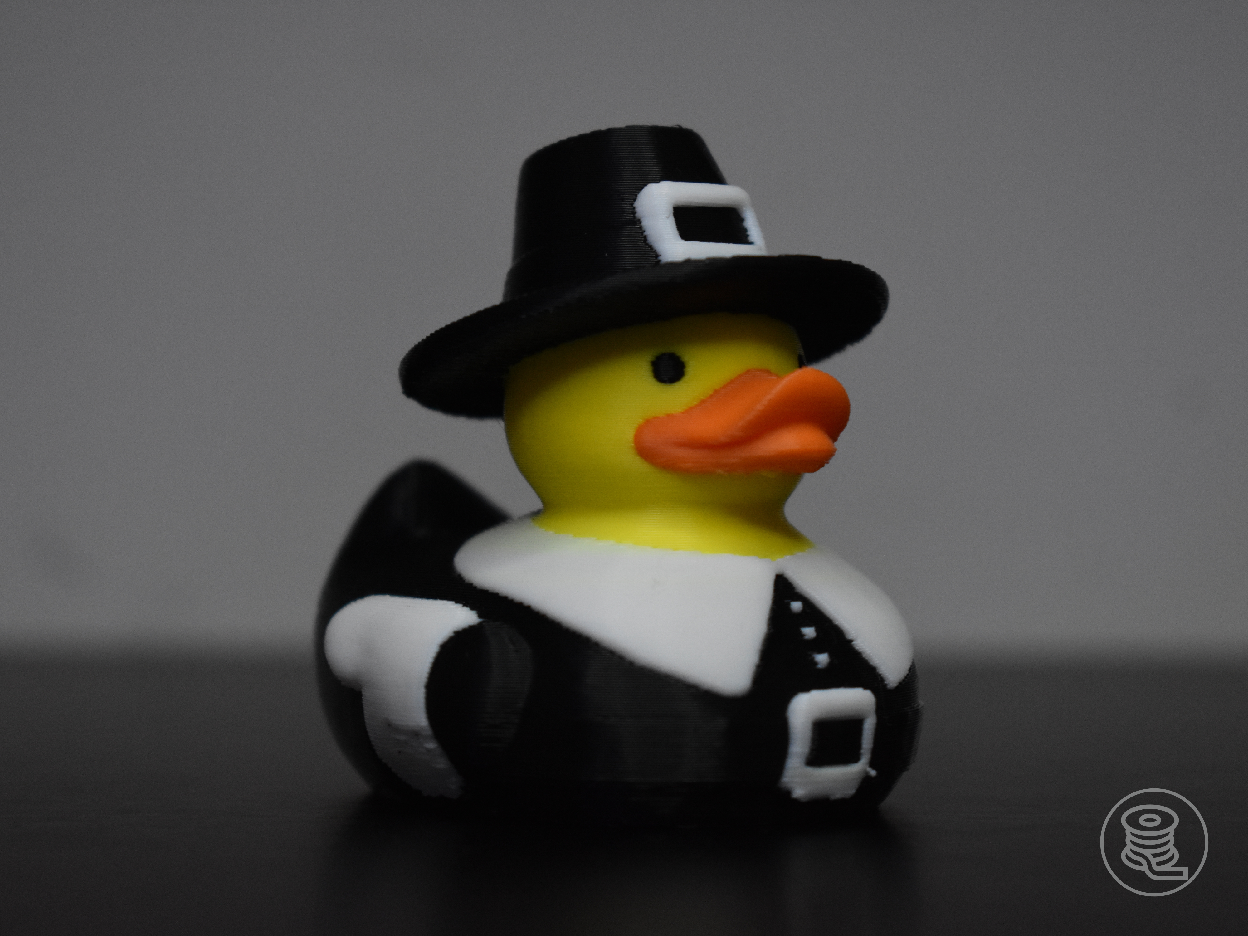 Pilgrim Duck