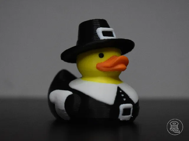 Pilgrim Duck