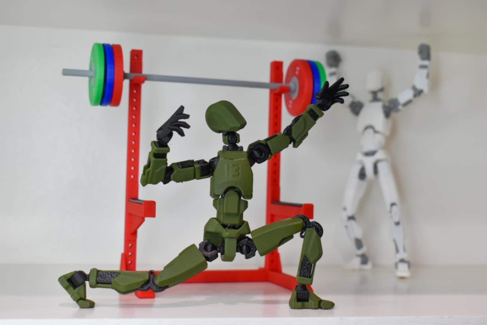 Squat Rack - Dummy 13