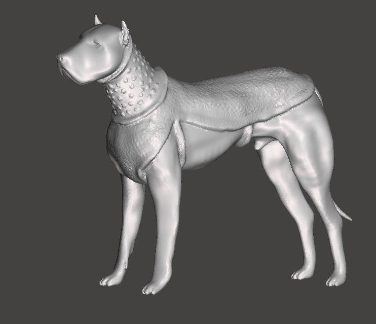 Roman War dog