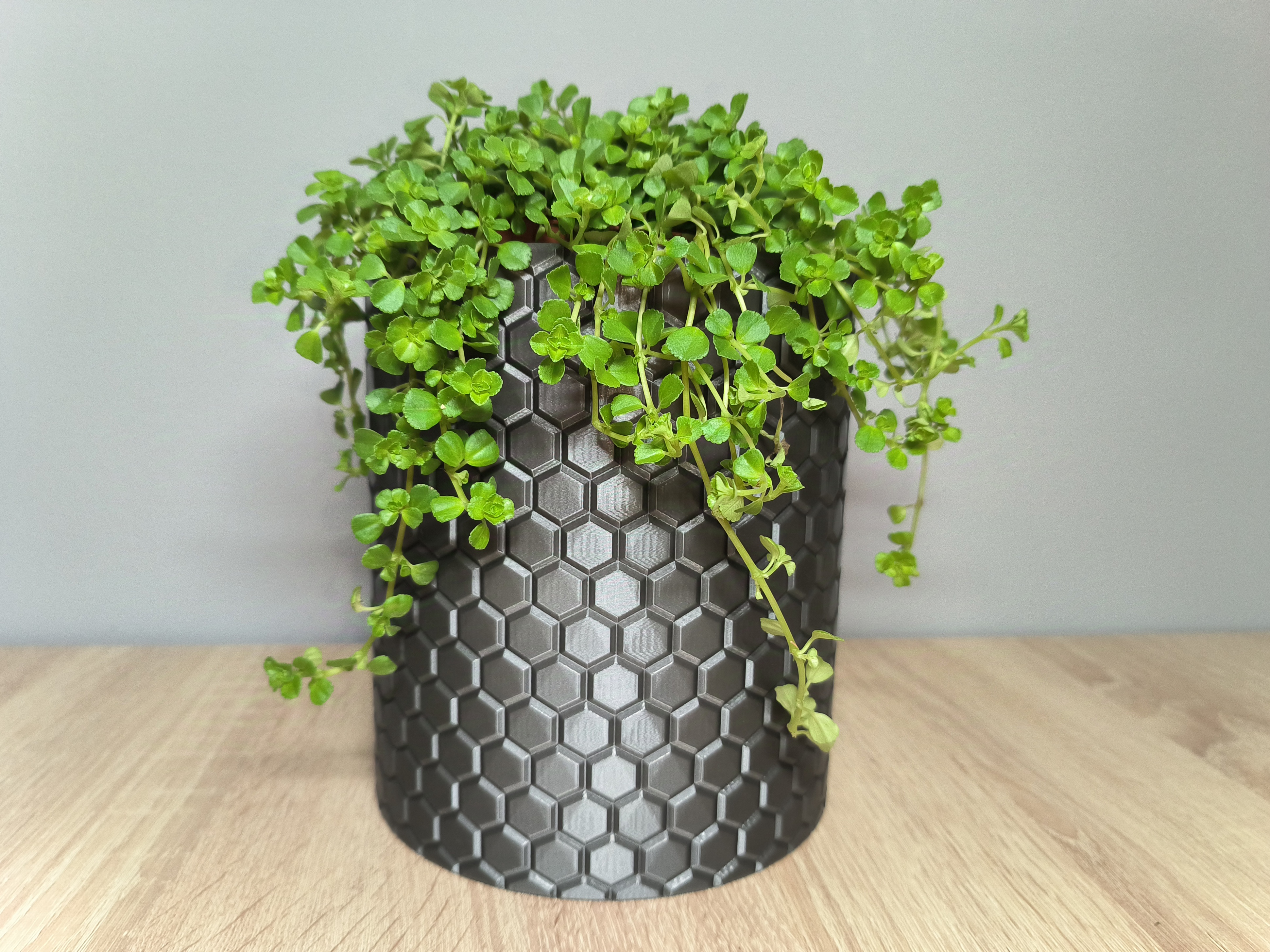 Honeycomb Planter Par Jands Design Téléchargez Gratuitement Un Modèle Stl 0809