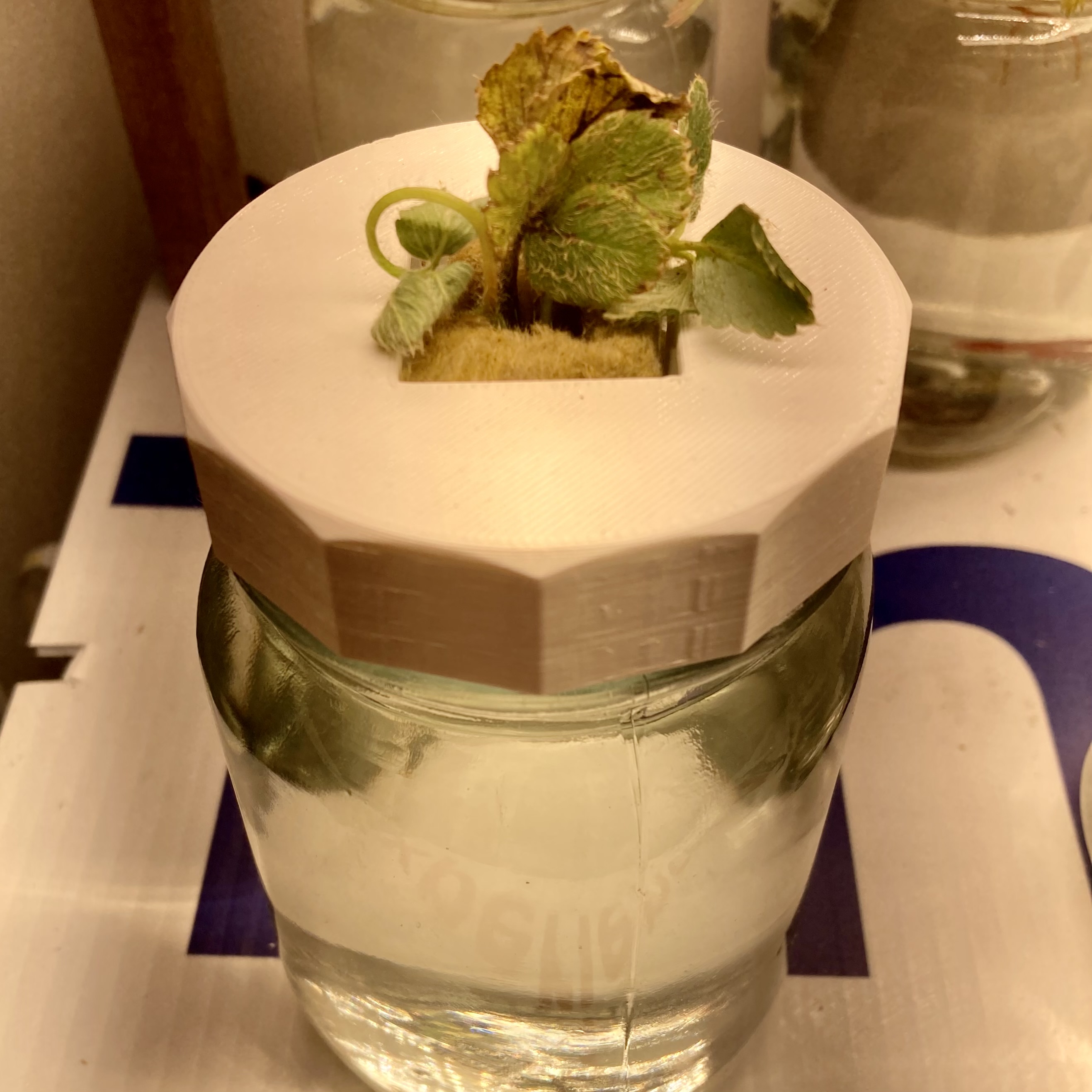 Screw-on Kratky hydroponics cube holder for mason jar