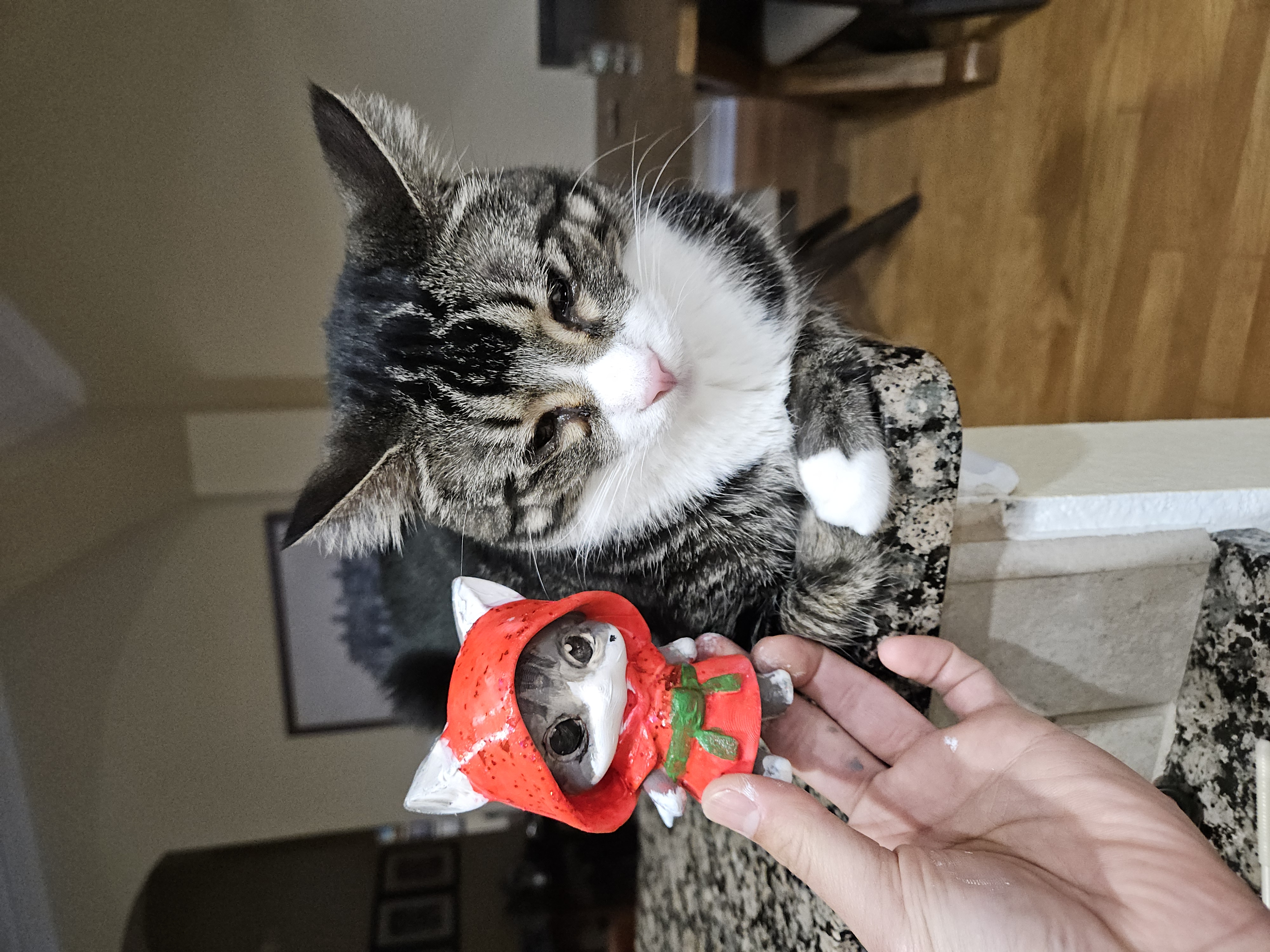 Loki 1 (Samurai Cat Series)