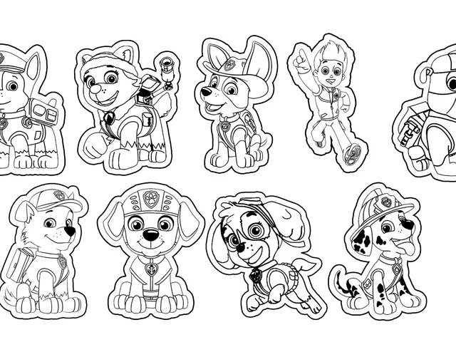 Paw Patrol