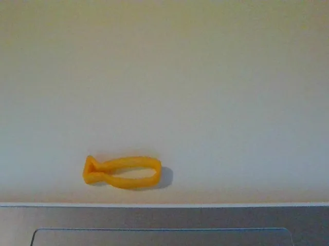 cool fish cookie cutter