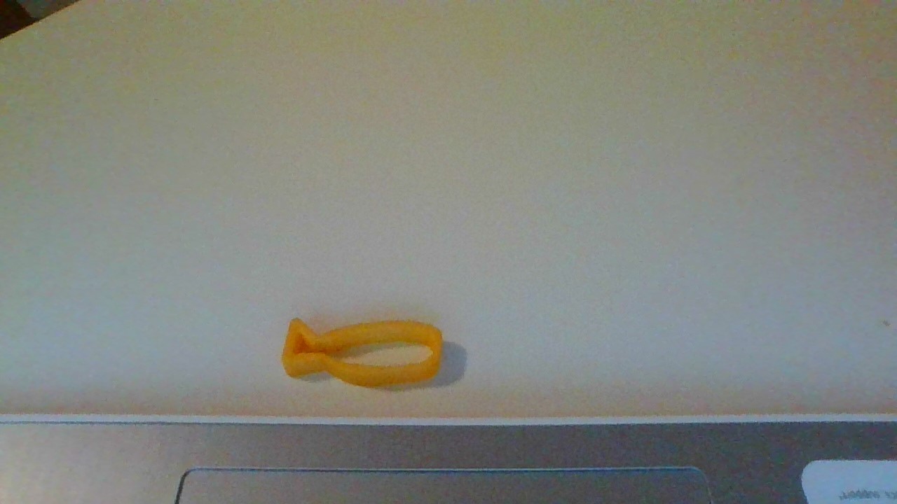 cool fish cookie cutter