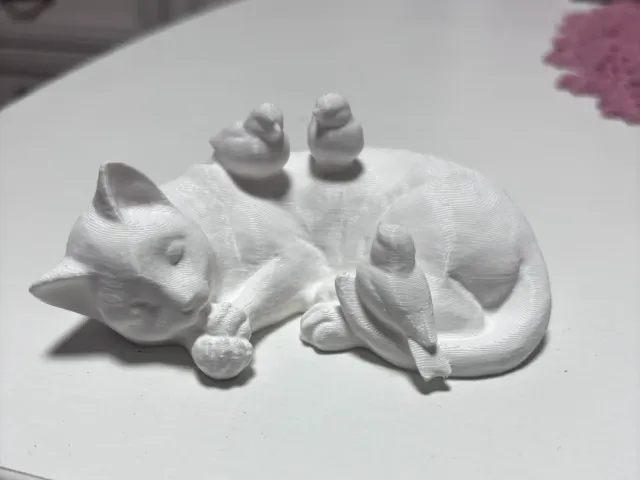 Sleeping cat with birds on top