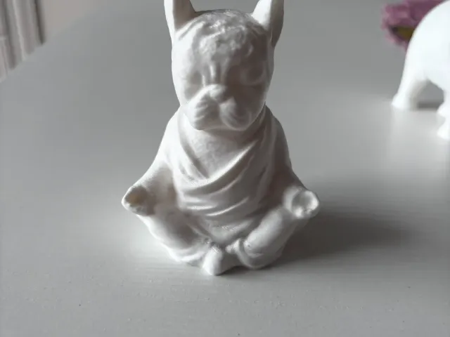 Buddhist dog