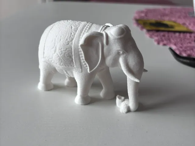 Indian Elephant