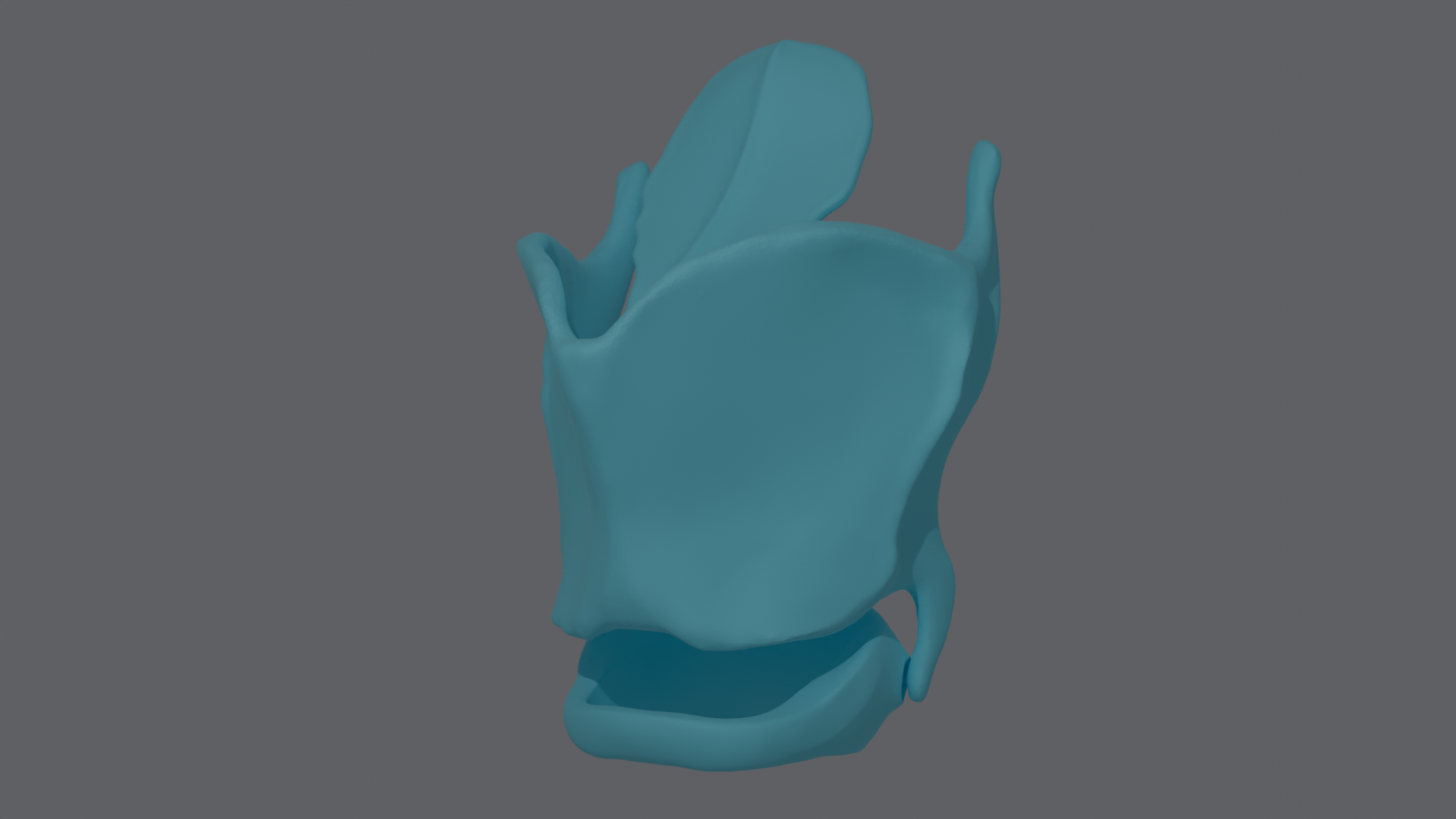 Larynx / Vocal Cord Cartilage (HighPoly)