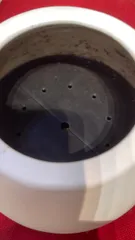 Plant Container Drainage Disc