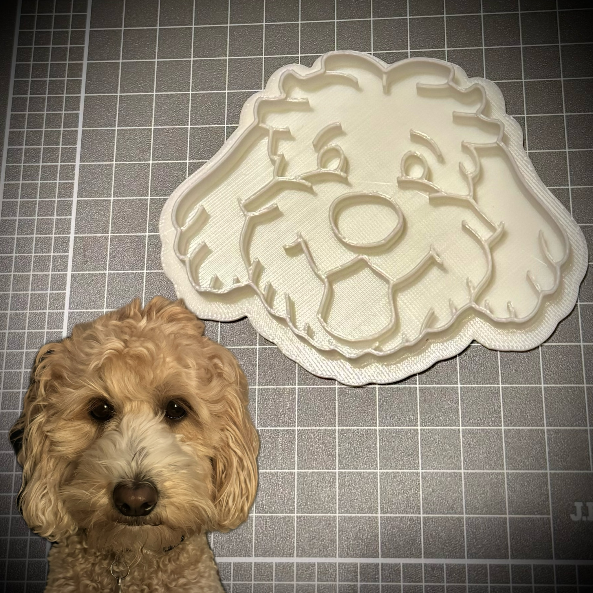 Labradoodle (Floofy Dog) Cookie Cutter and Stamp