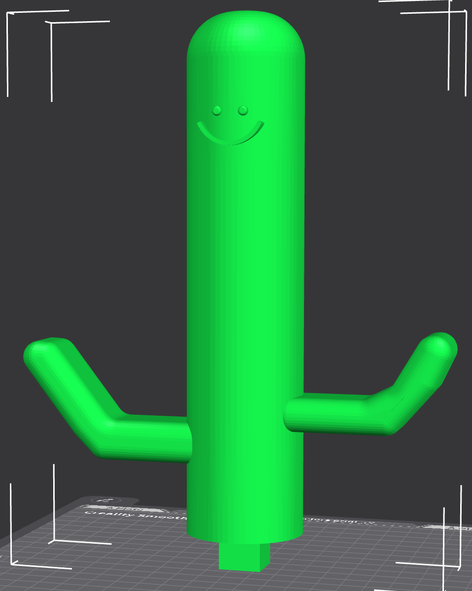 Cactus Porta Oggetti