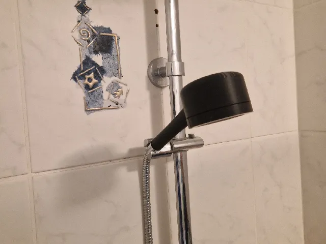 Pommeau de douche