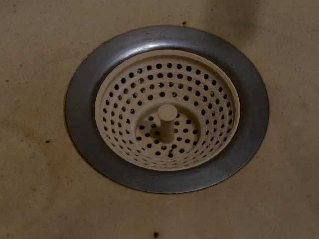 Sink sieve