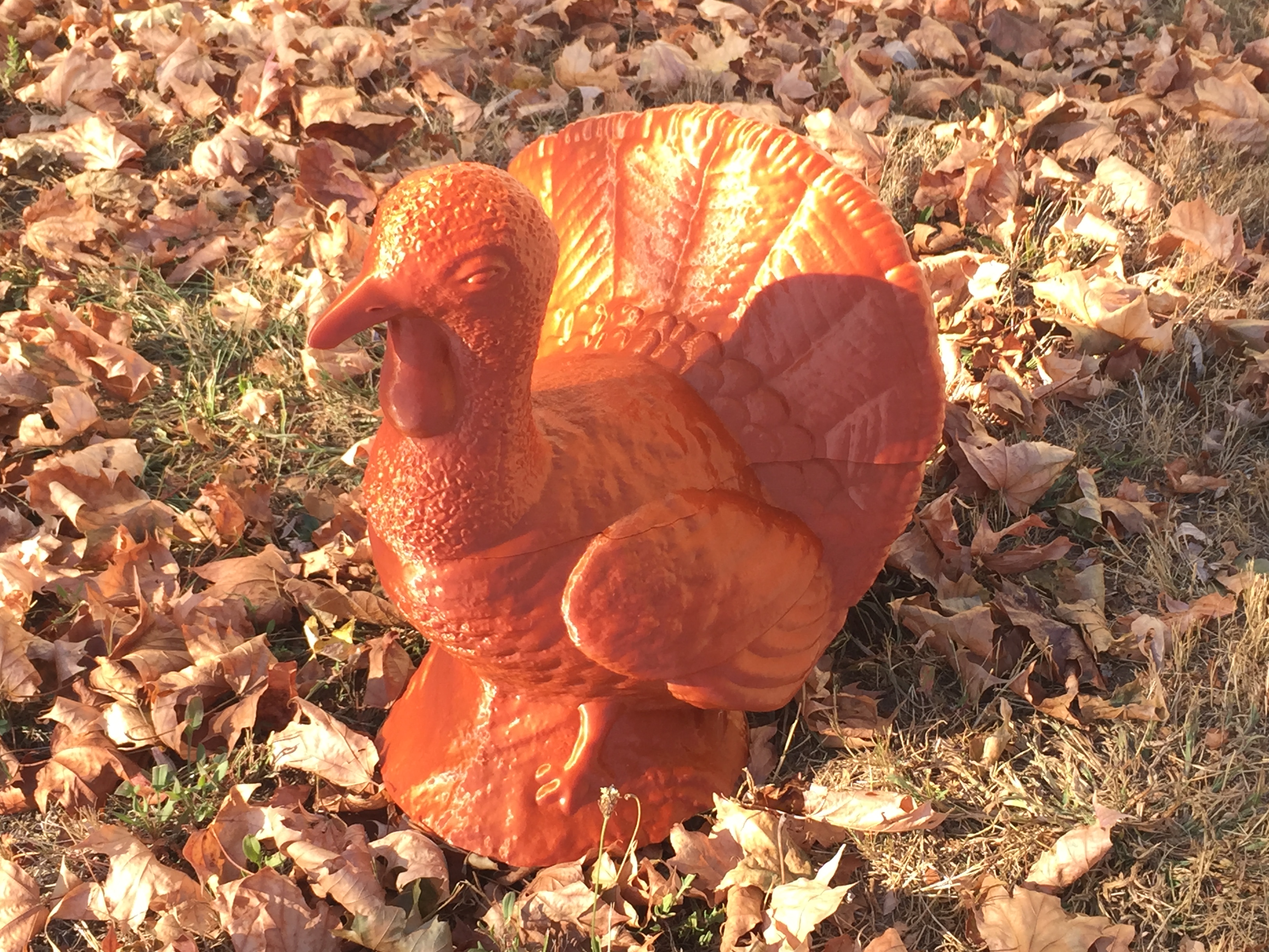Turkey Jar