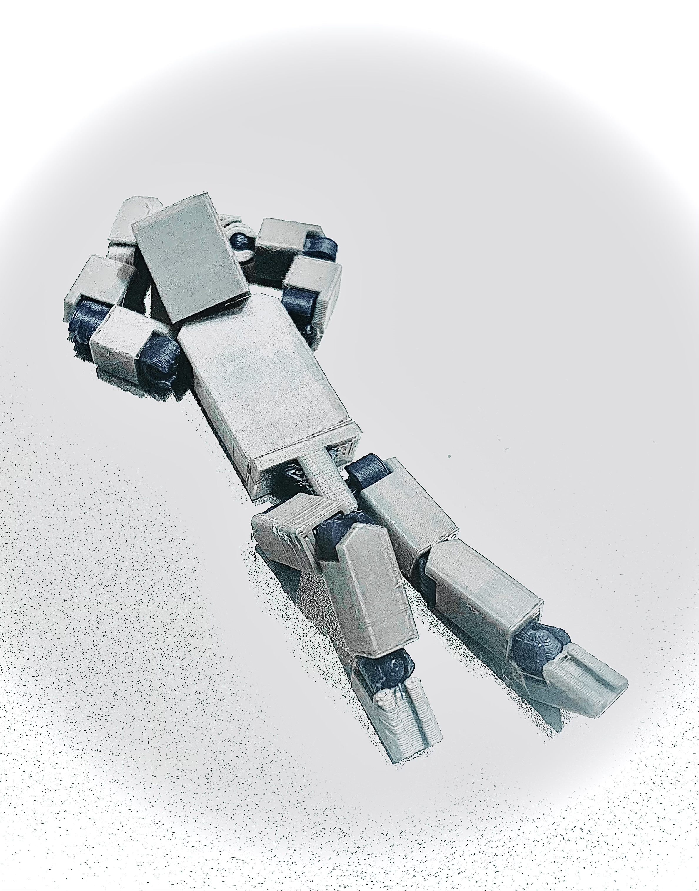 Action figure
