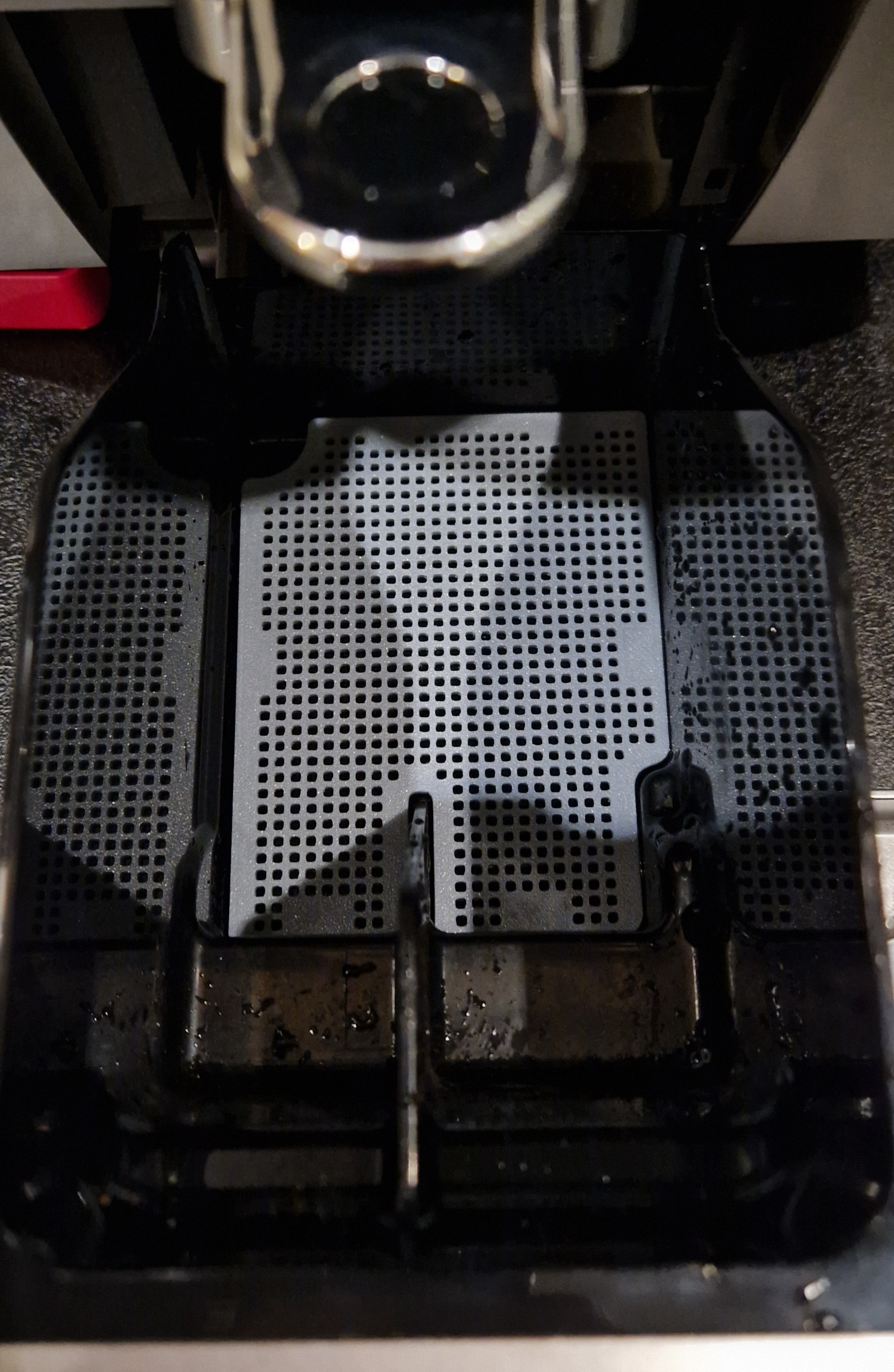 DeLonghi Magnifica S anti-mold